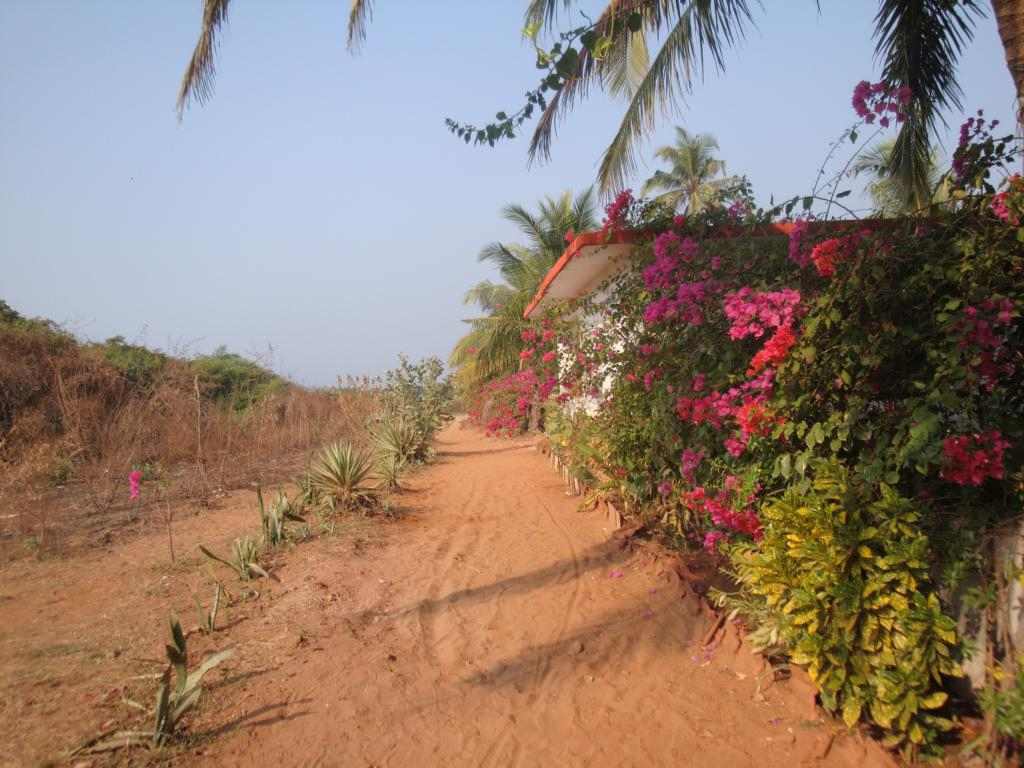 The path to the beach at Calangute