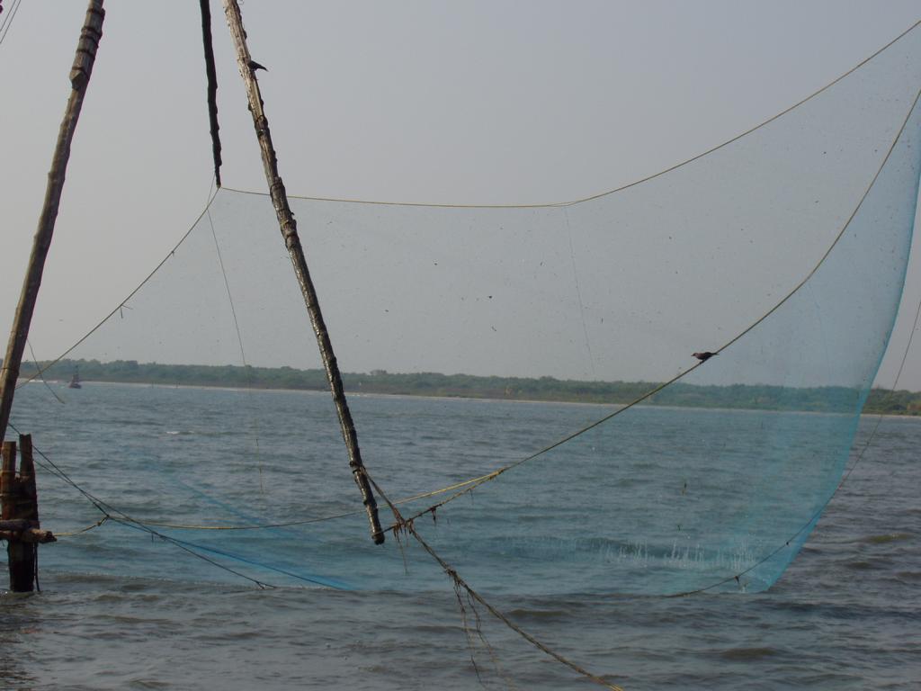 Chinese fishing nets - a method unknown to us