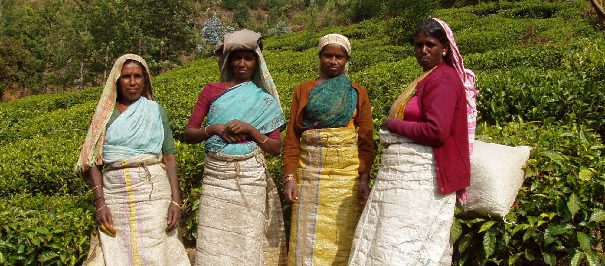 Ooty - Trekking im Teeland Tabelle Silvia 058 Zug 2000x881