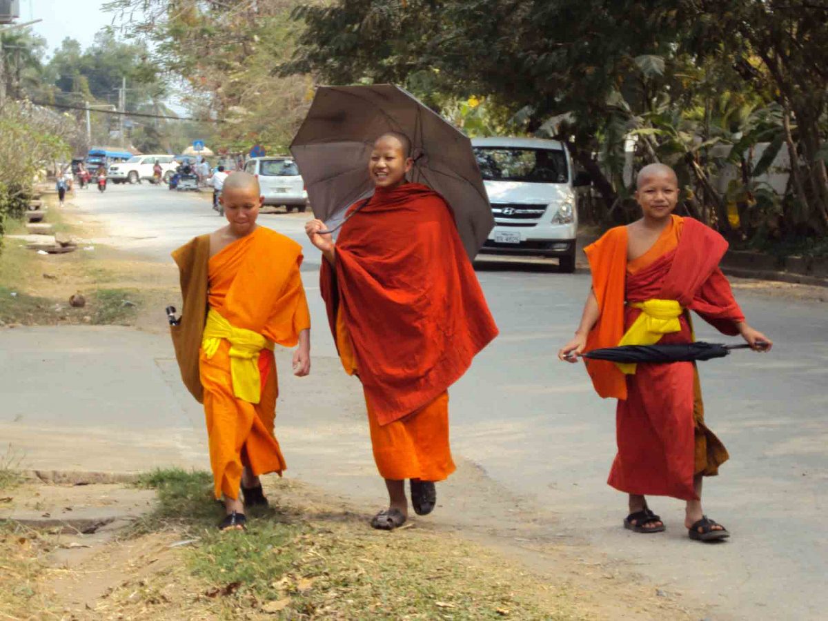 Luang Prabang - Mönche und Samaneras Südostasien 142 25 1200x900