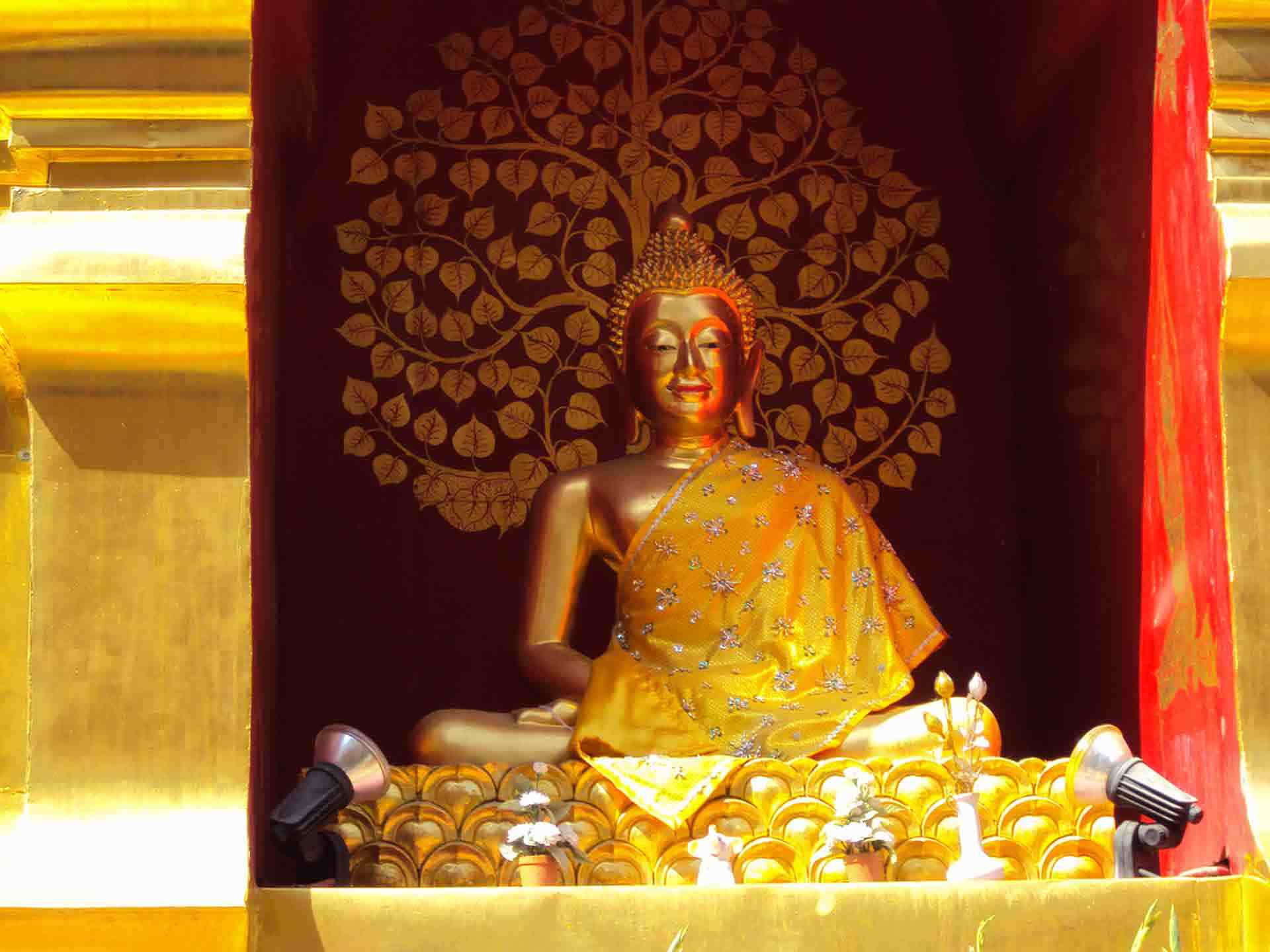 Buddha with view to nirvana