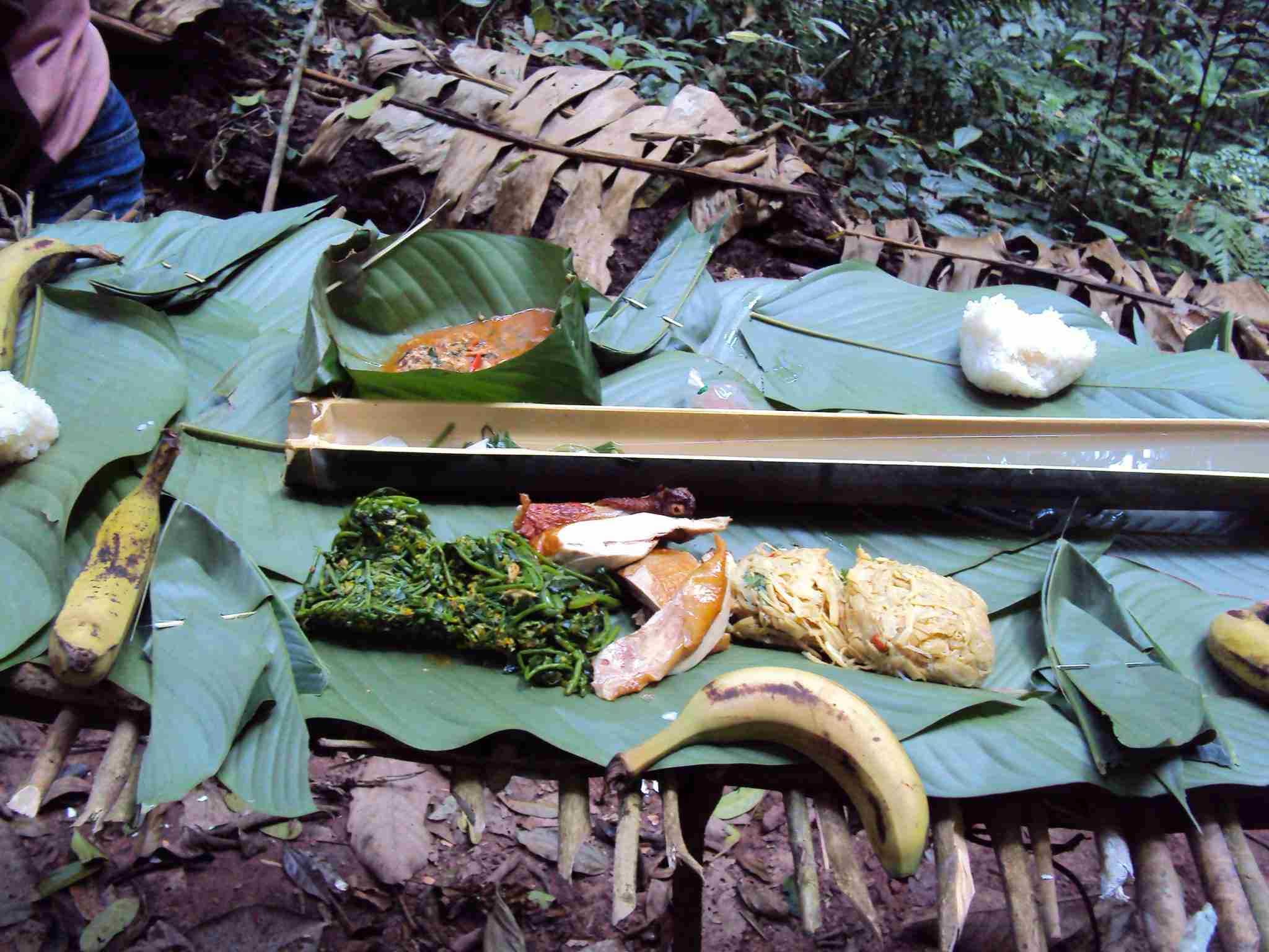 Lunch in the jungle - delicious