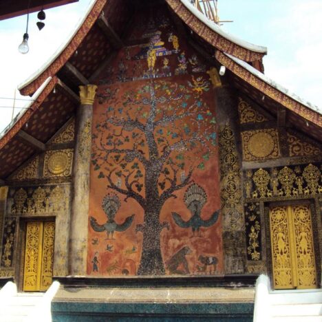 Luang Namptha – Dschungeltrek