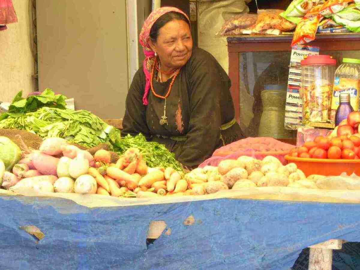 Ladakh - Digitaler Blackout Image1358 Zug