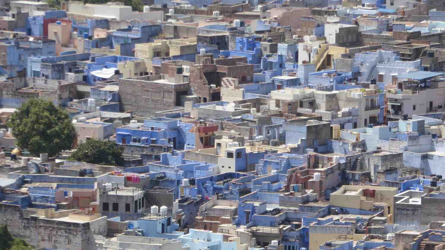 Jodhpur – die blaue Stadt