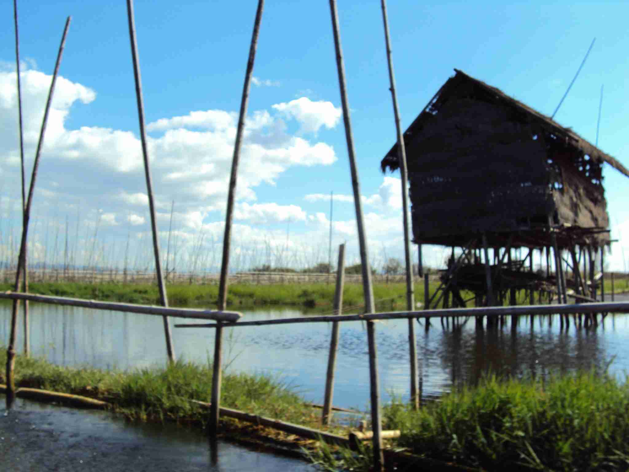 Cabins on stilts in the middle of the Inle lake 