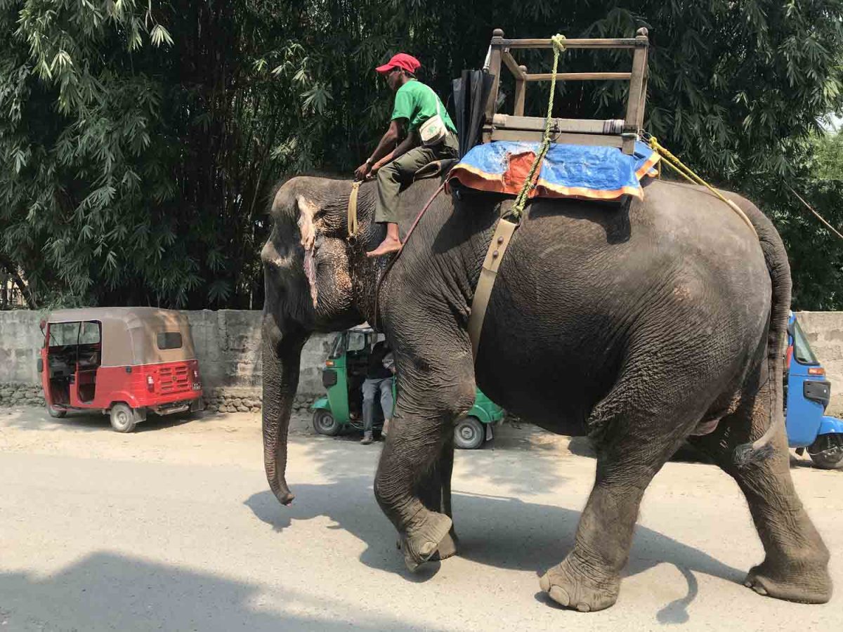 Nepal 676 26 1200x900