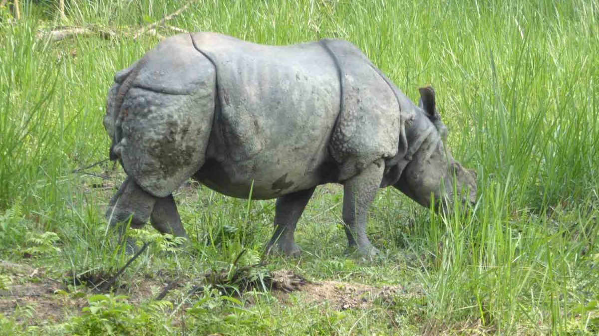 Nepal 714 26 1200x674