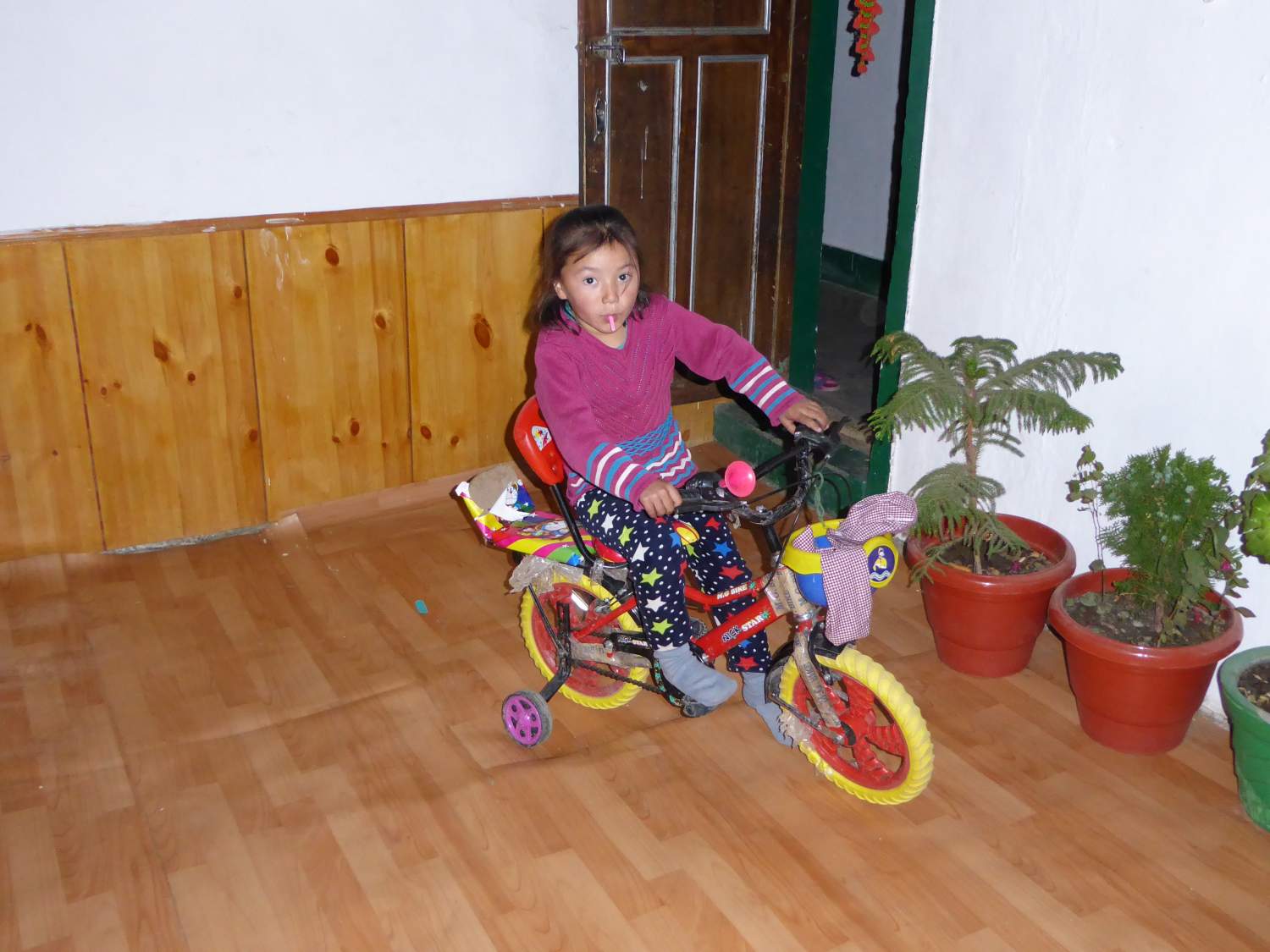 Cycling in the living room