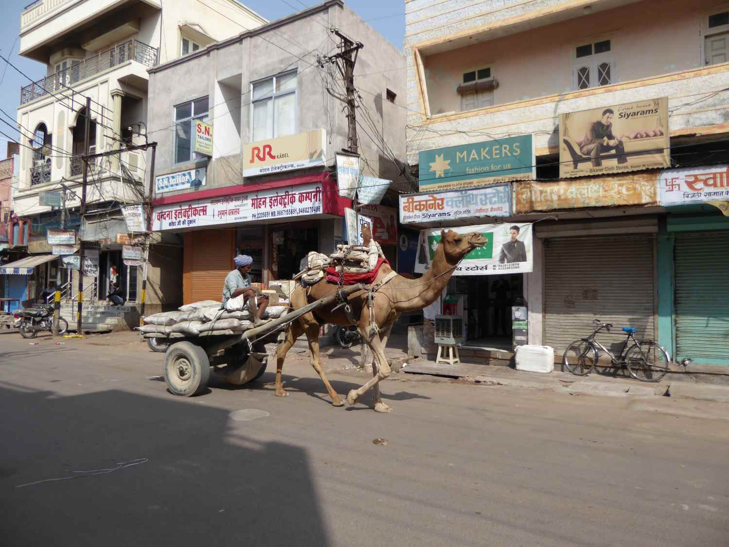 Street scene in Bikaner - with camel