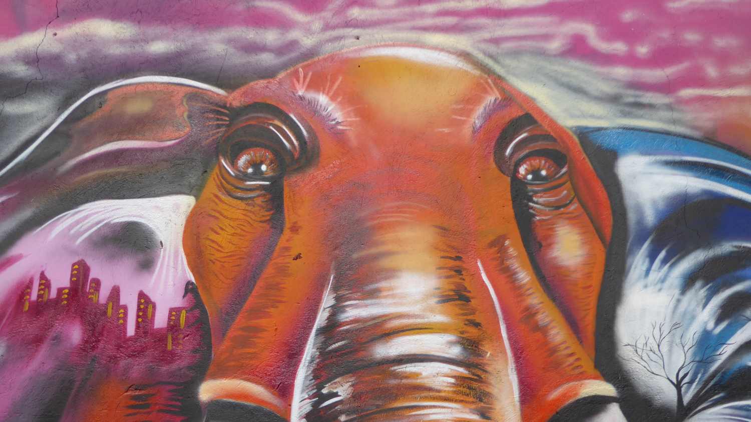 Medellin Graffiti Comuna 13 nr 4
