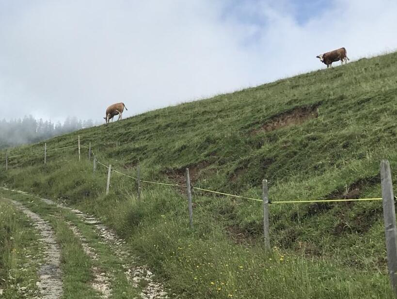 Der Alpenpanoramaweg – Alone again, naturally