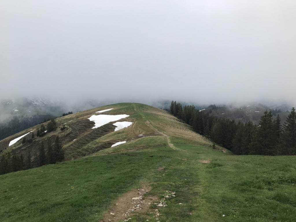 Alpenpanoramaweg – Regen, sonst nichts