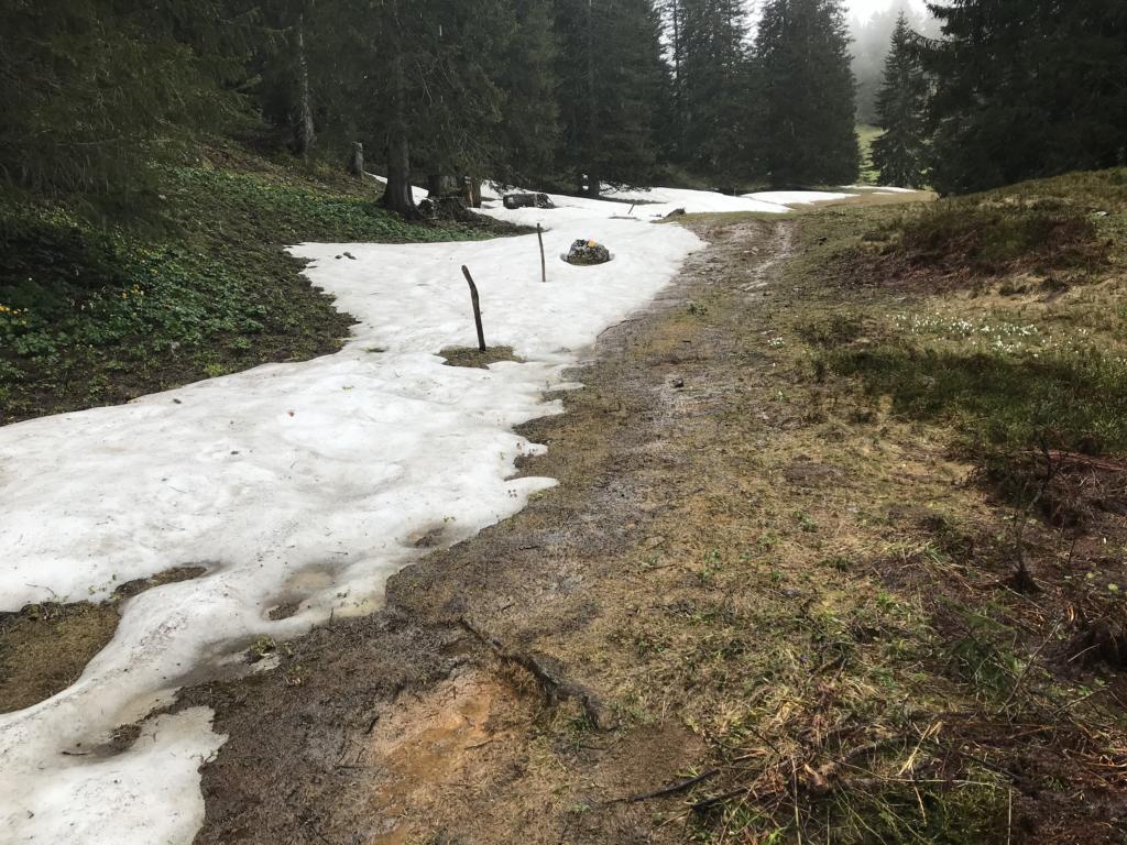the last spring snow