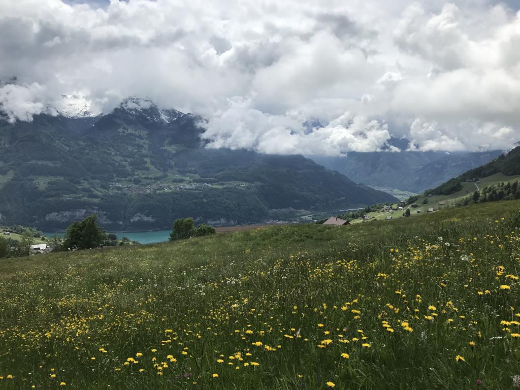 Alpenpanoramaweg – Steine und Schnecken und Regen
