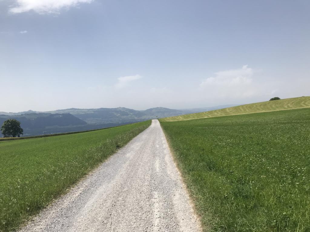 Long road towards Münsingen