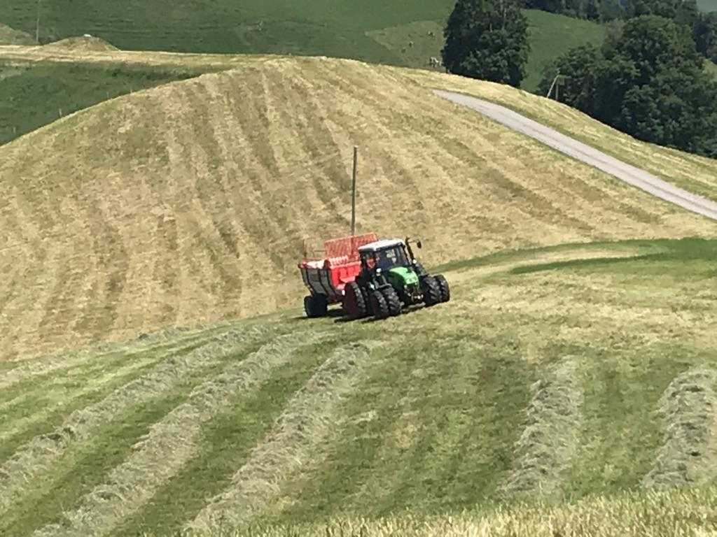Working on the fields