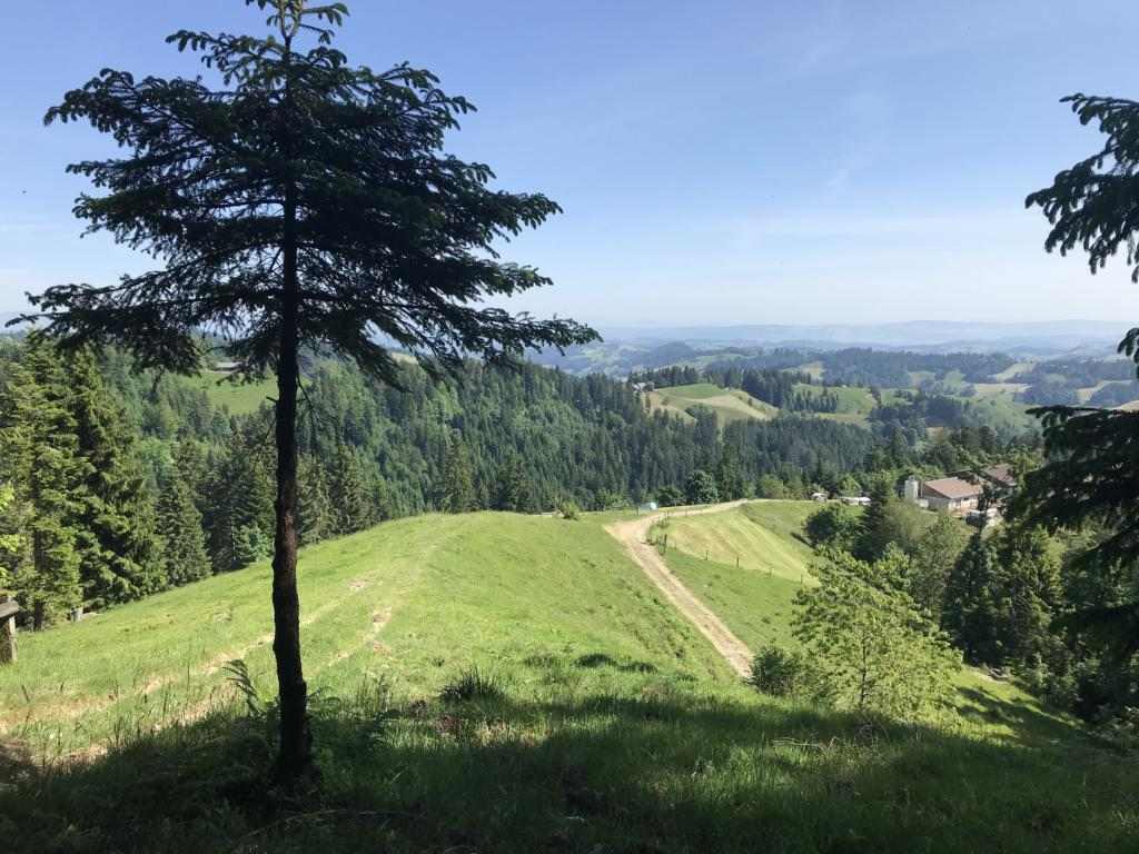 View from my picknick place