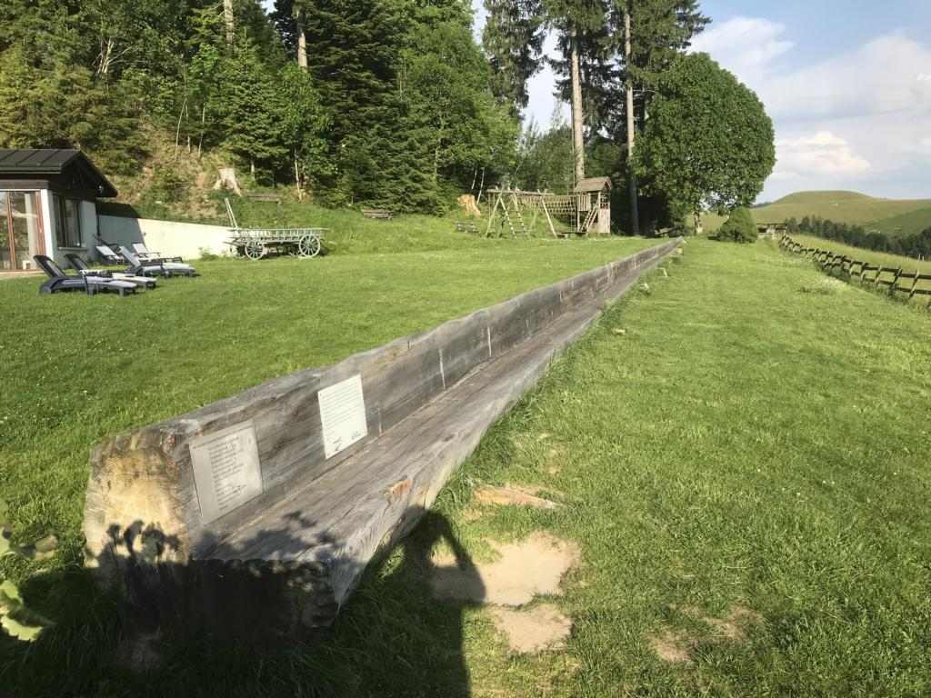 The longesr bench of the world, cut from one single tree