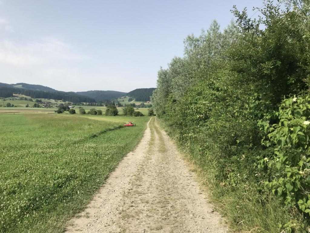 Flat path on the way