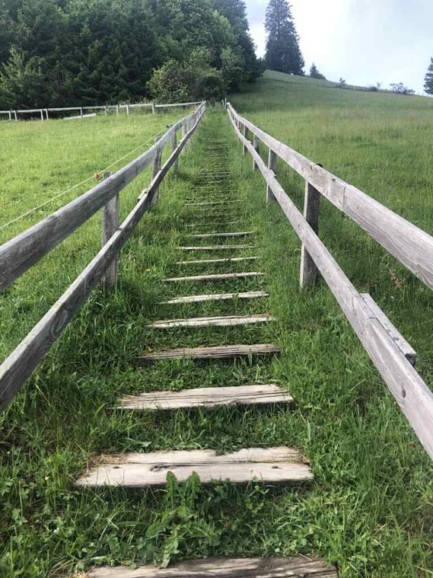 Ascent to the Guggershörnli