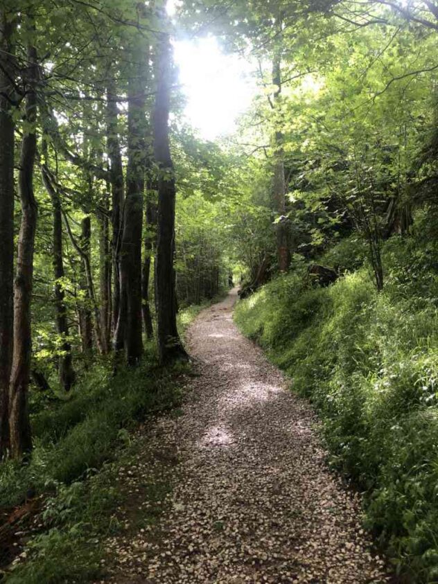 Path to Guggershörnli