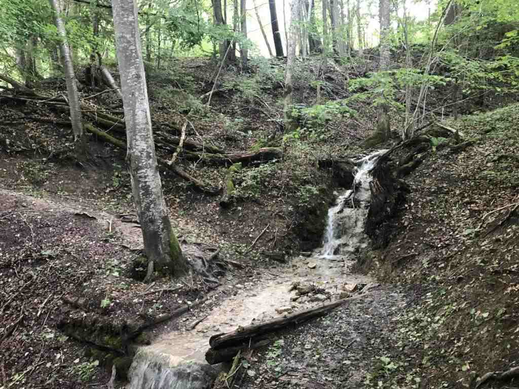 Sometimes a small creek