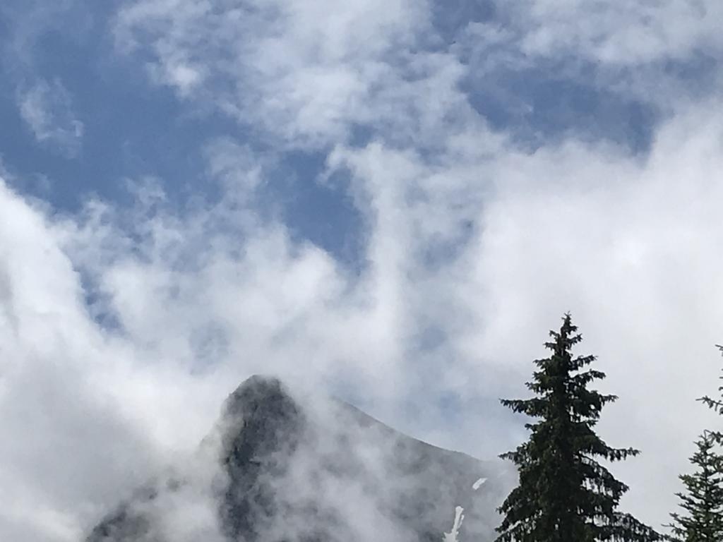 Alpenpanoramaweg – Die Berge bleiben zurück