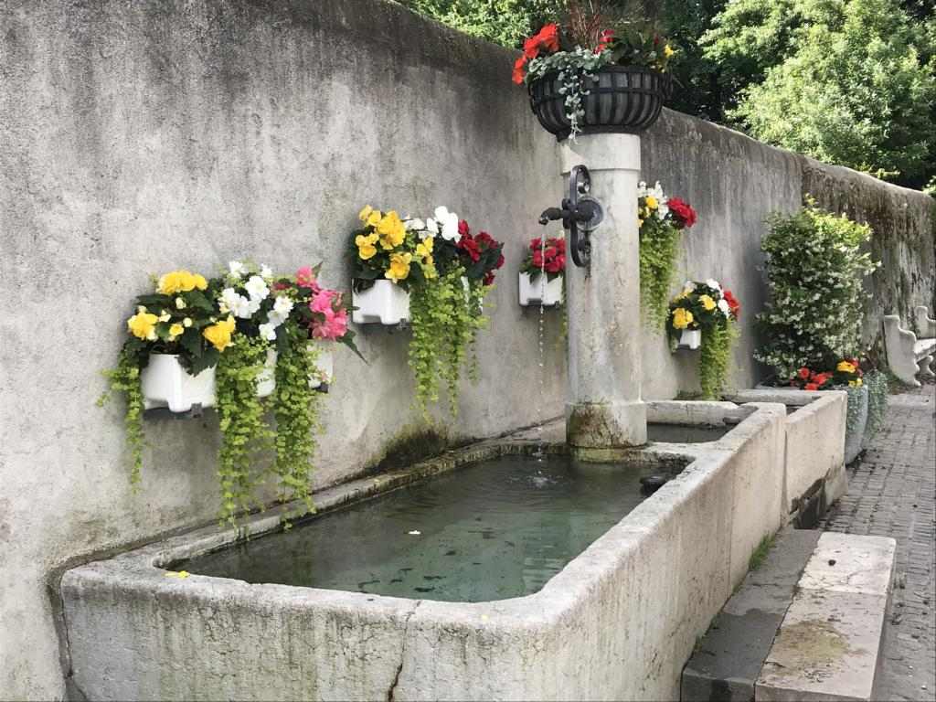 fountain decorated with flowers