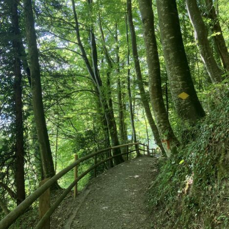 Trans Swiss Trail – Erinnerungen an die Vergangenheit