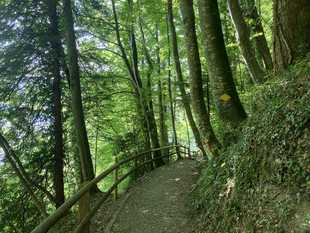 Trans Swiss Trail – Licht und Schatten