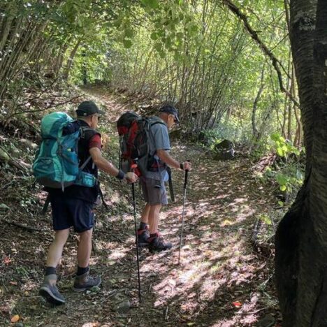 Trans Swiss Trail – On Top of the World (fast)