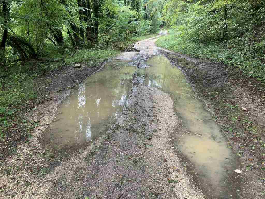 Wet and wetter