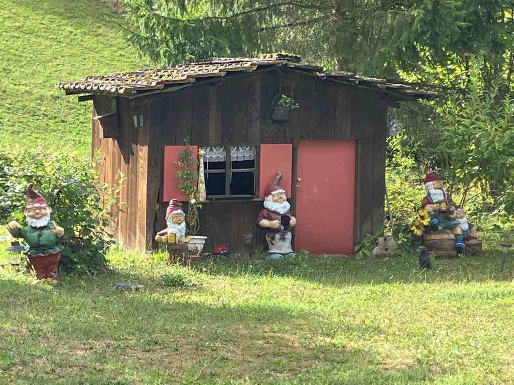 Dwarfs and other atrocities