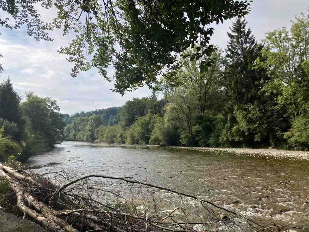 The SEnse river