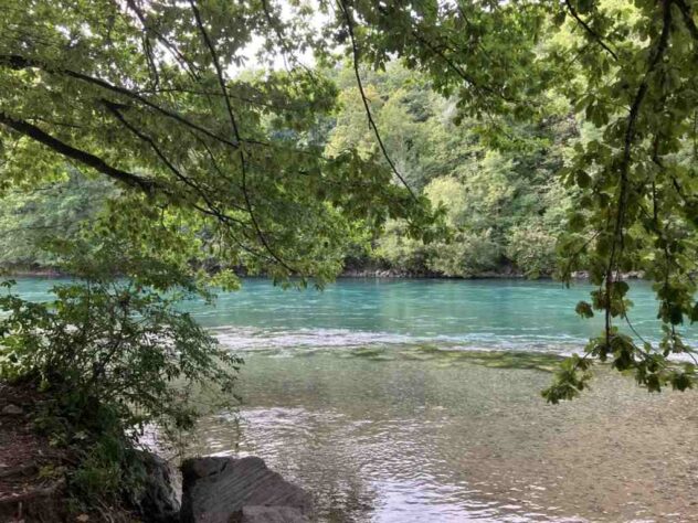 The Aare - sometimes greenish, then ...