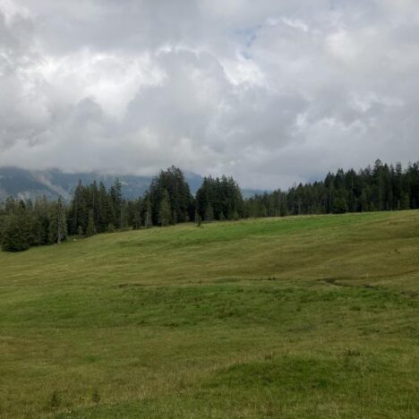 Trans Swiss Trail – Begegnungen
