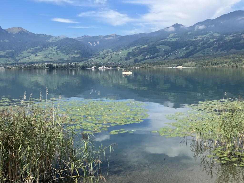 Trans Swiss Trail - Postkartenschweiz Image3181