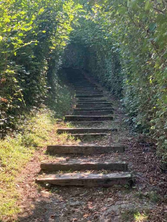 Upwards to Flüli