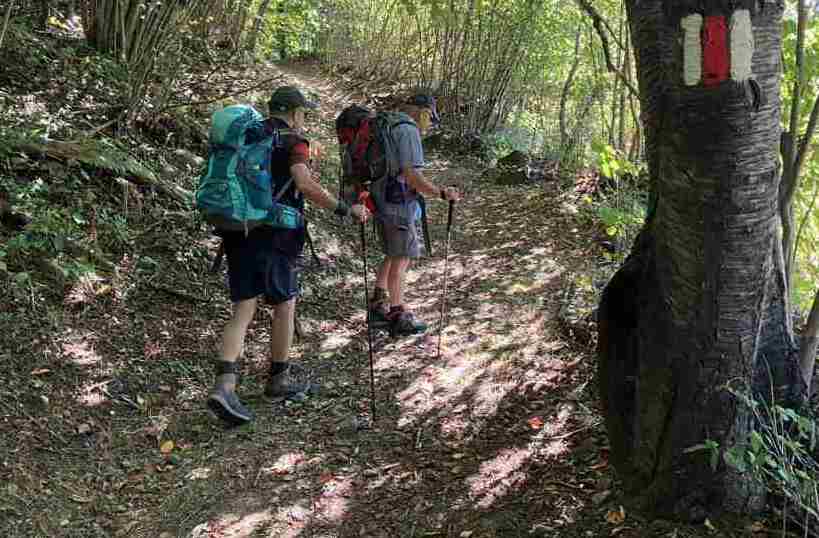 Trans Swiss Trail - Unterwegs auf der Strada Alta Image3483 Zug