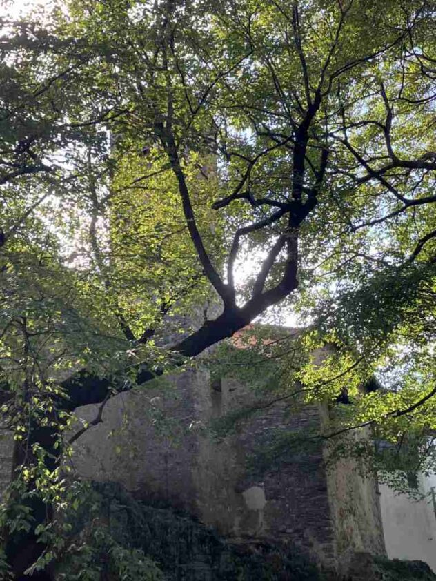 La Chiesa San Bernardo above Lugano