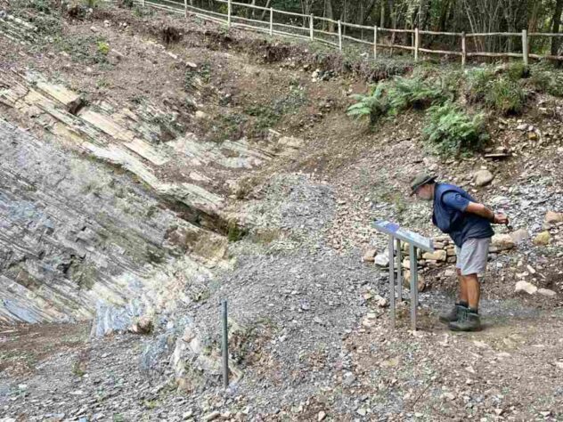 In search of dinosaur bones