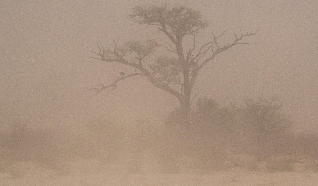 Sandstorm 7432333 1280 1