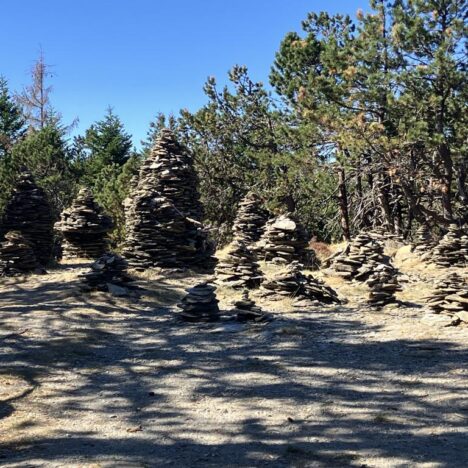 Der Stevensonweg – Durch Kastanienwälder